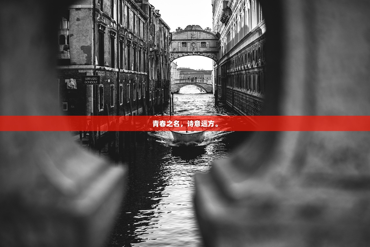 青春之名，诗意远方。