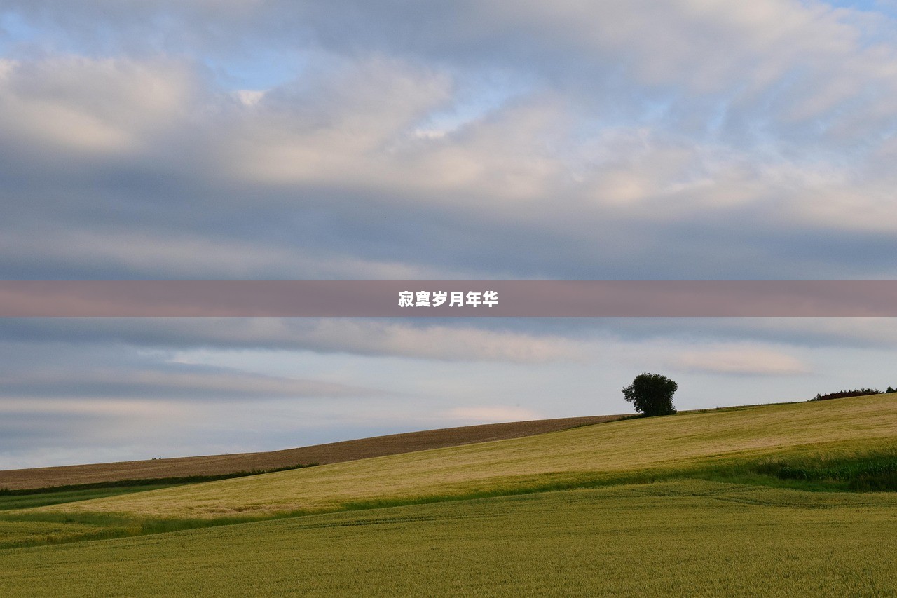 寂寞岁月年华