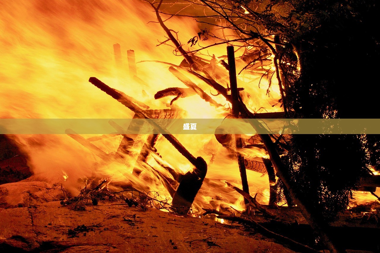 盛夏
