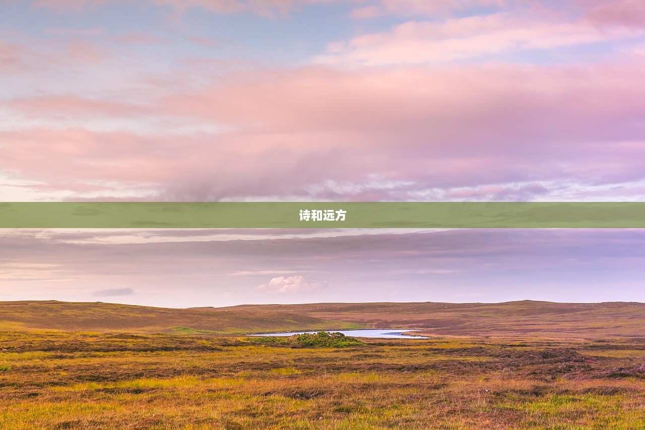 诗和远方