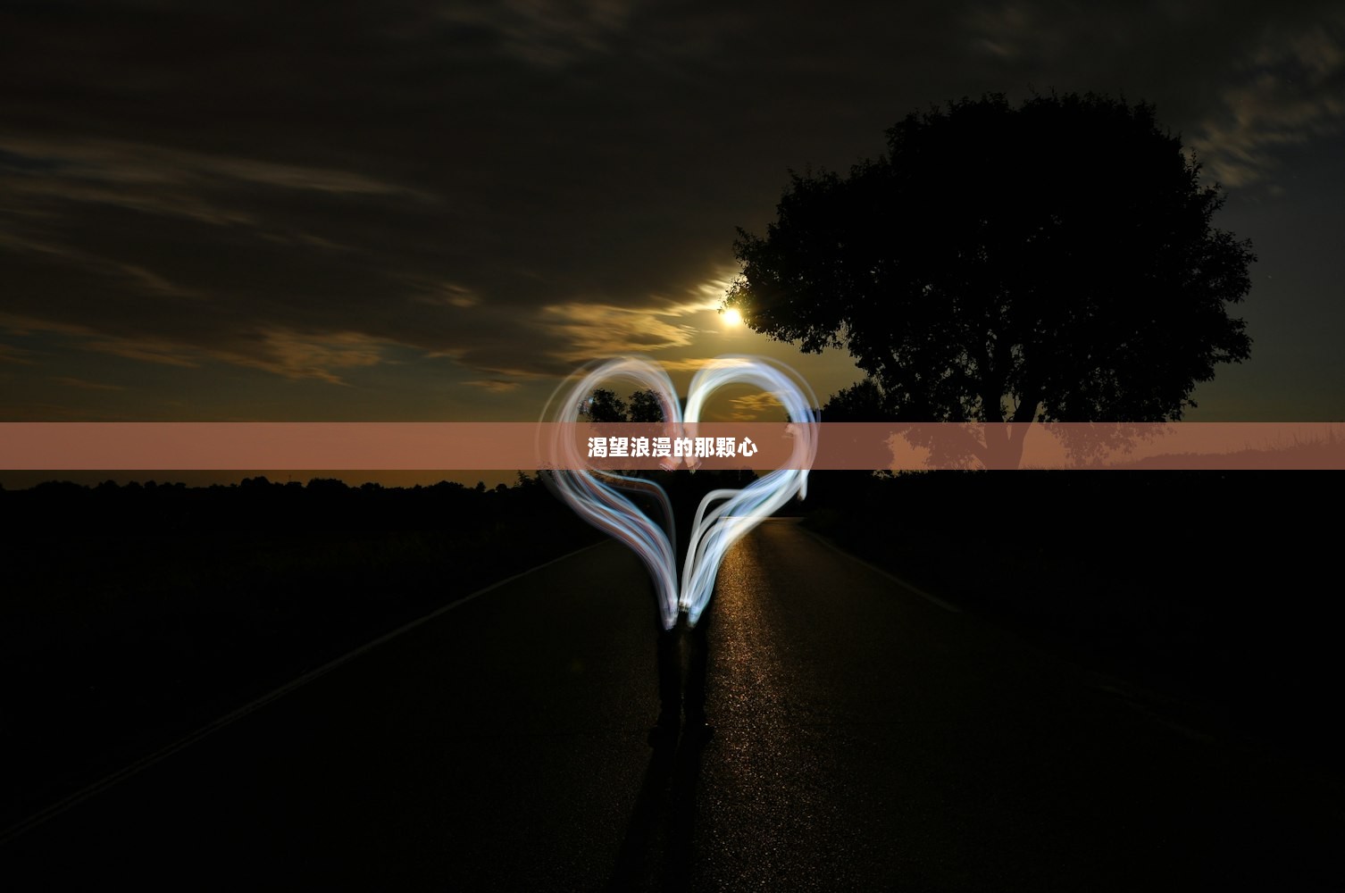 渴望浪漫的那颗心