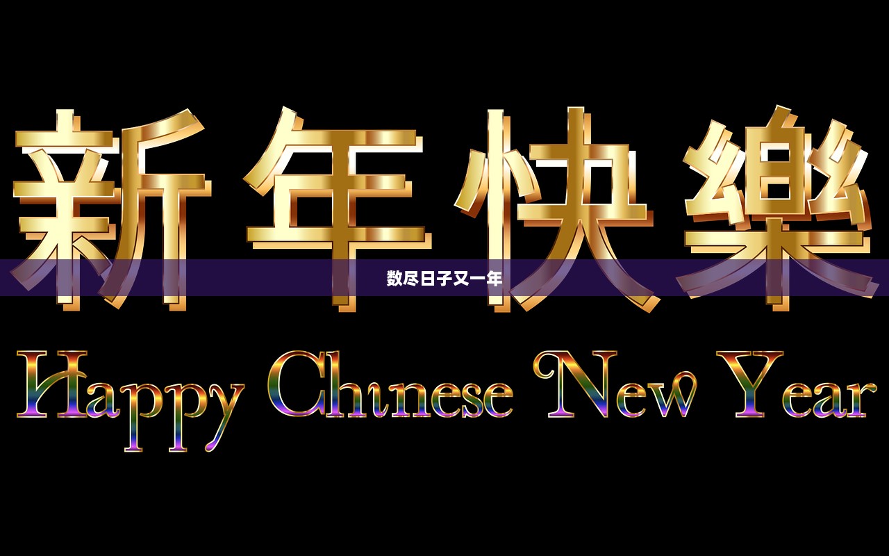 数尽日子又一年