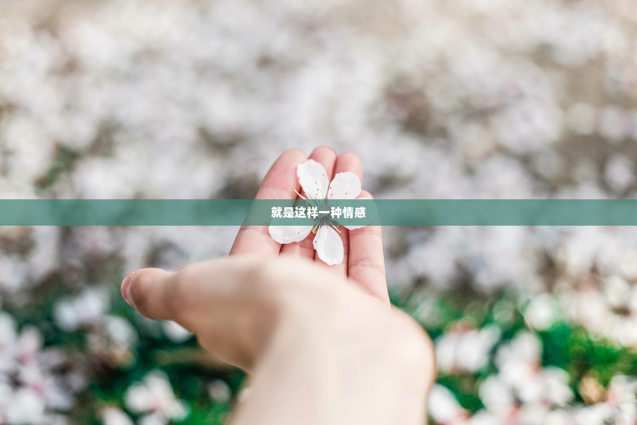 就是这样一种情感
