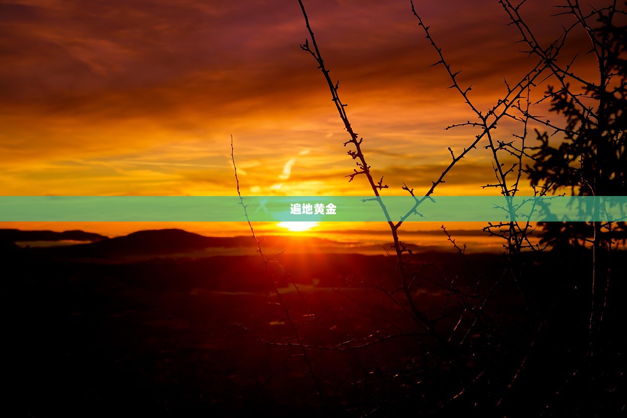 遍地黄金