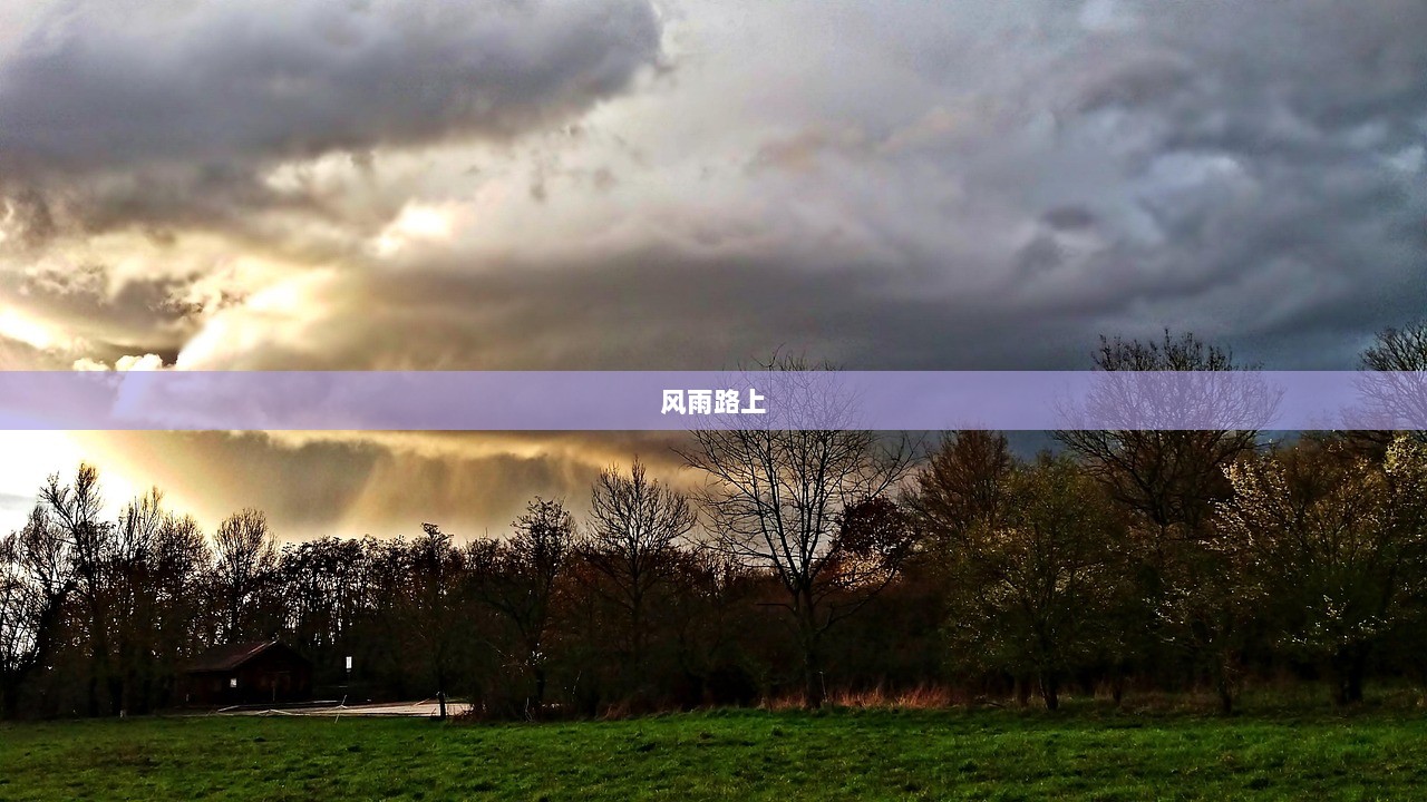 风雨路上