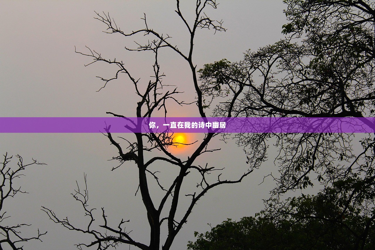 你，一直在我的诗中幽居