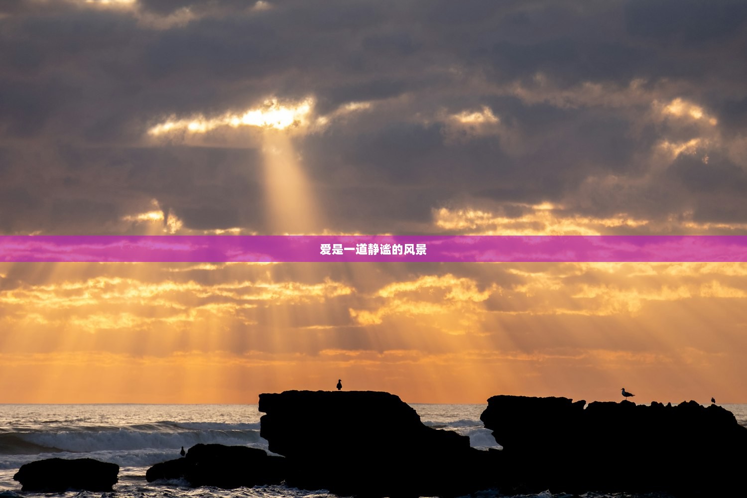 爱是一道静谧的风景