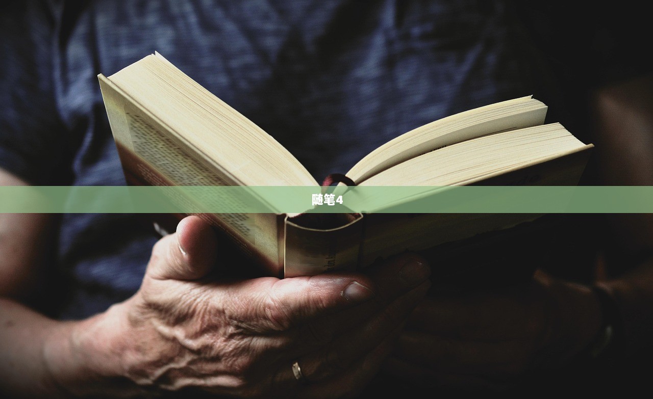 随笔4