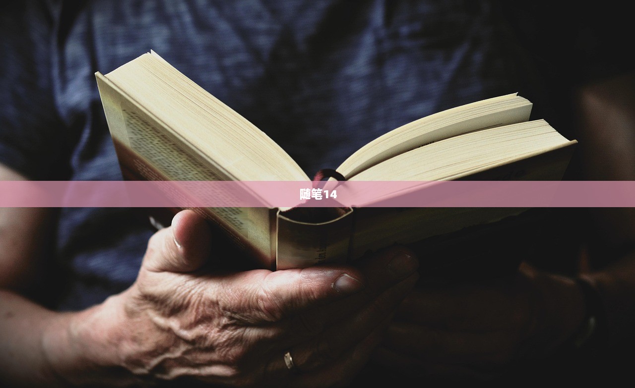 随笔14