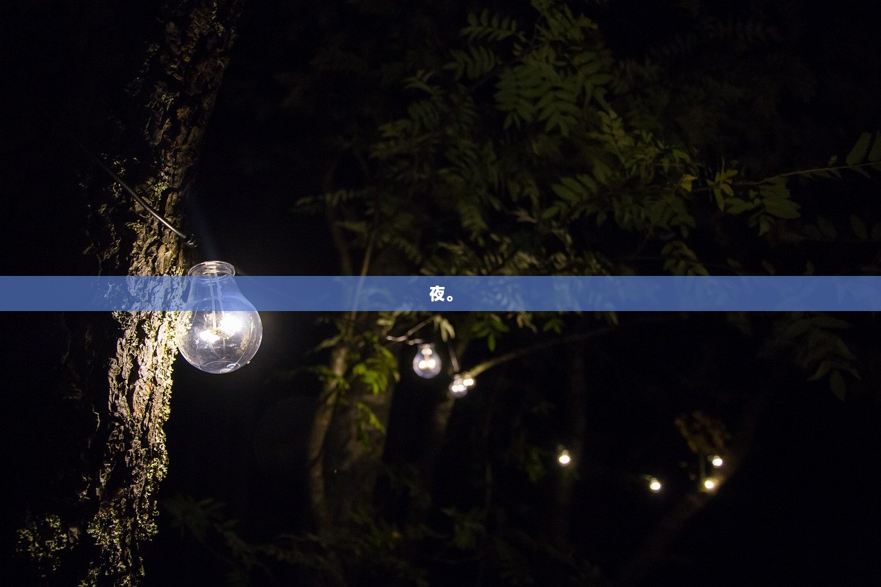 夜。