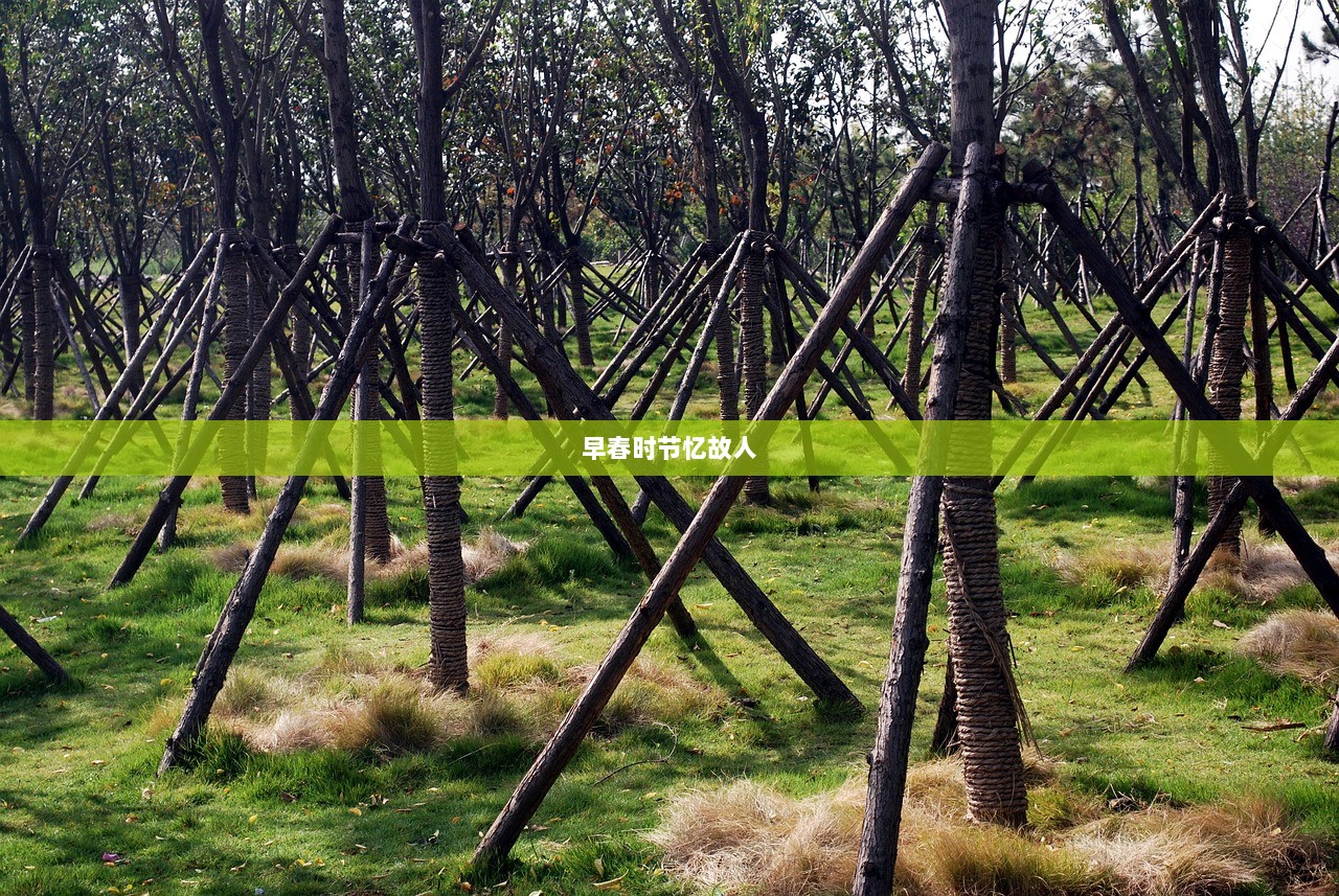 早春时节忆故人