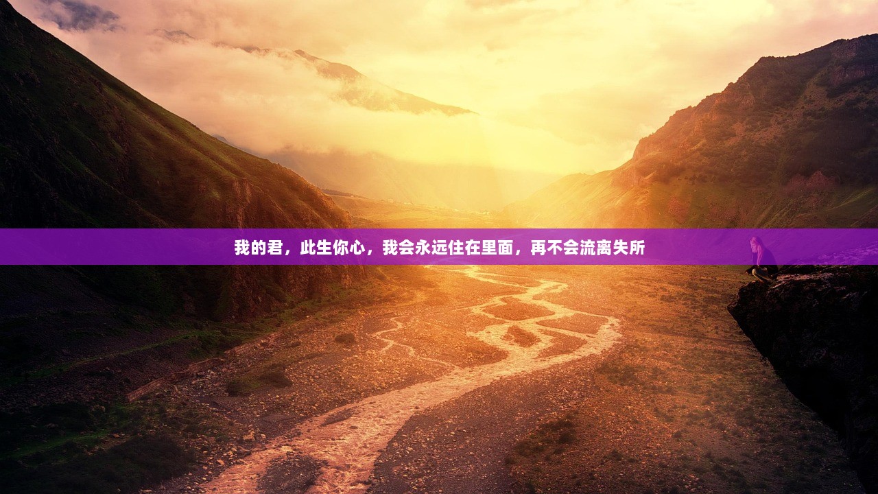 我的君，此生你心，我会永远住在里面，再不会流离失所