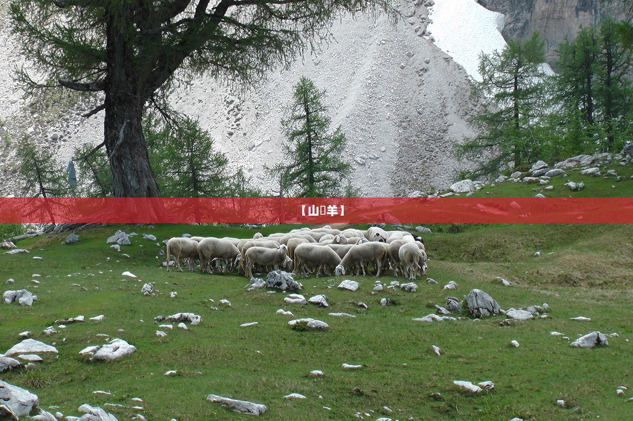 【山岥羊】