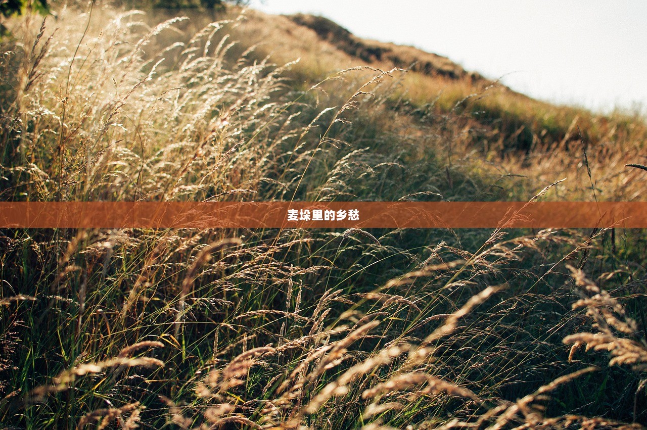 麦垛里的乡愁
