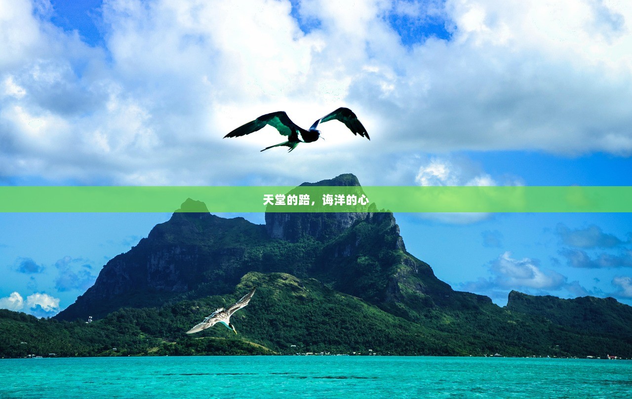 天堂的踣，诲洋的心