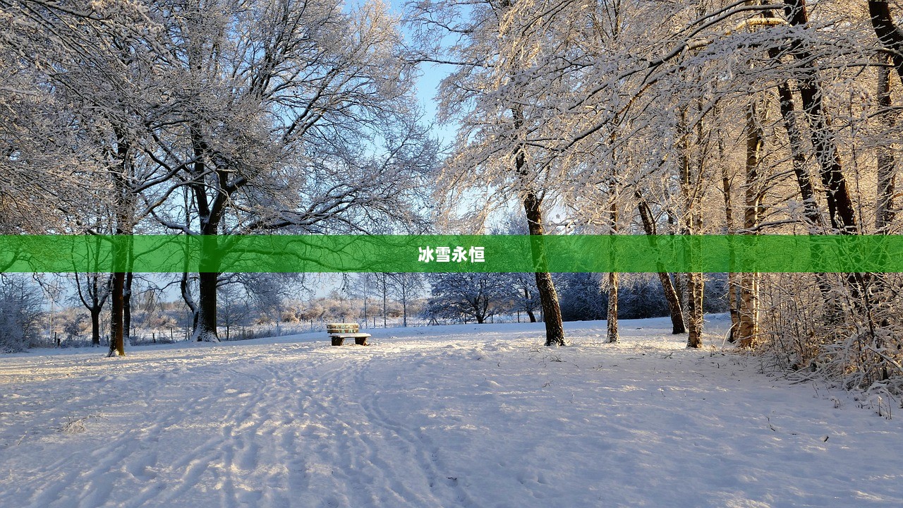 冰雪永恒