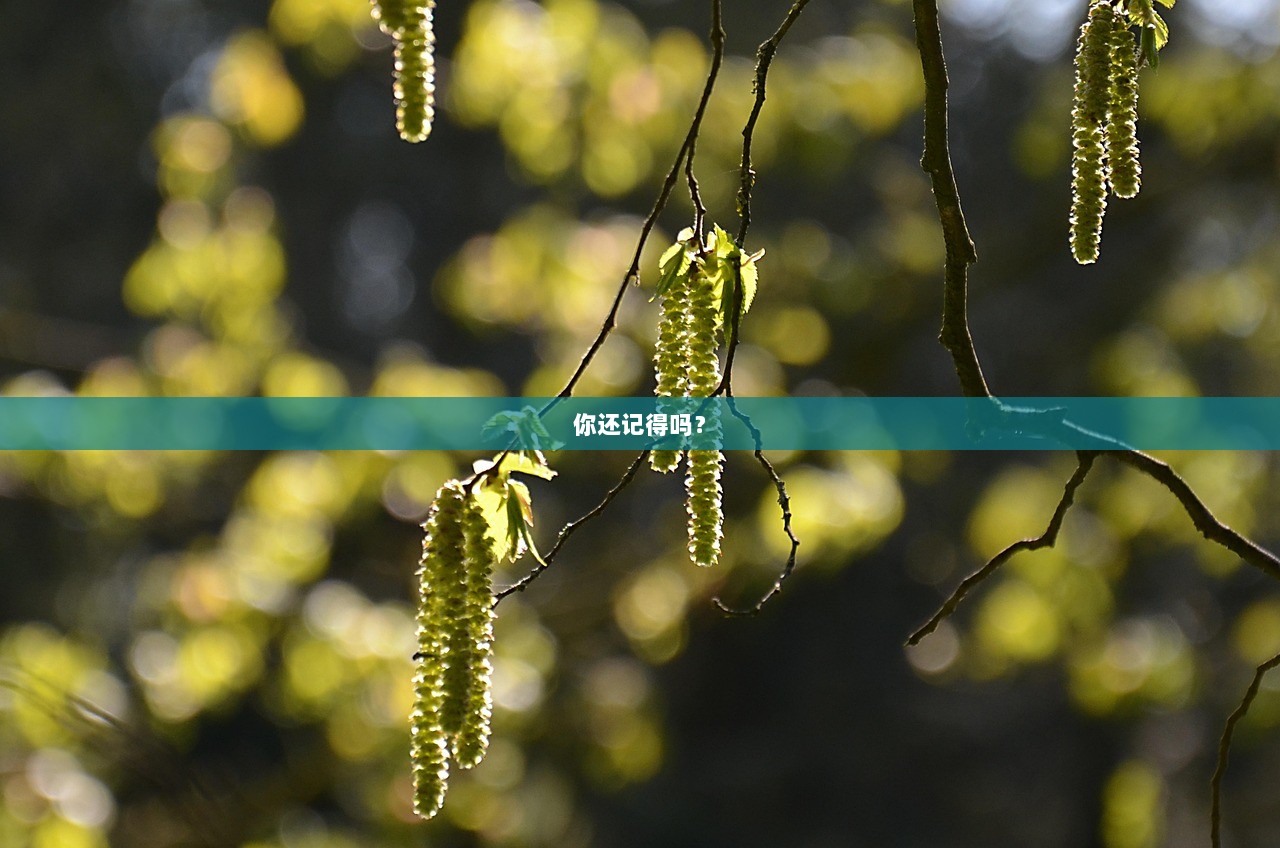 你还记得吗？