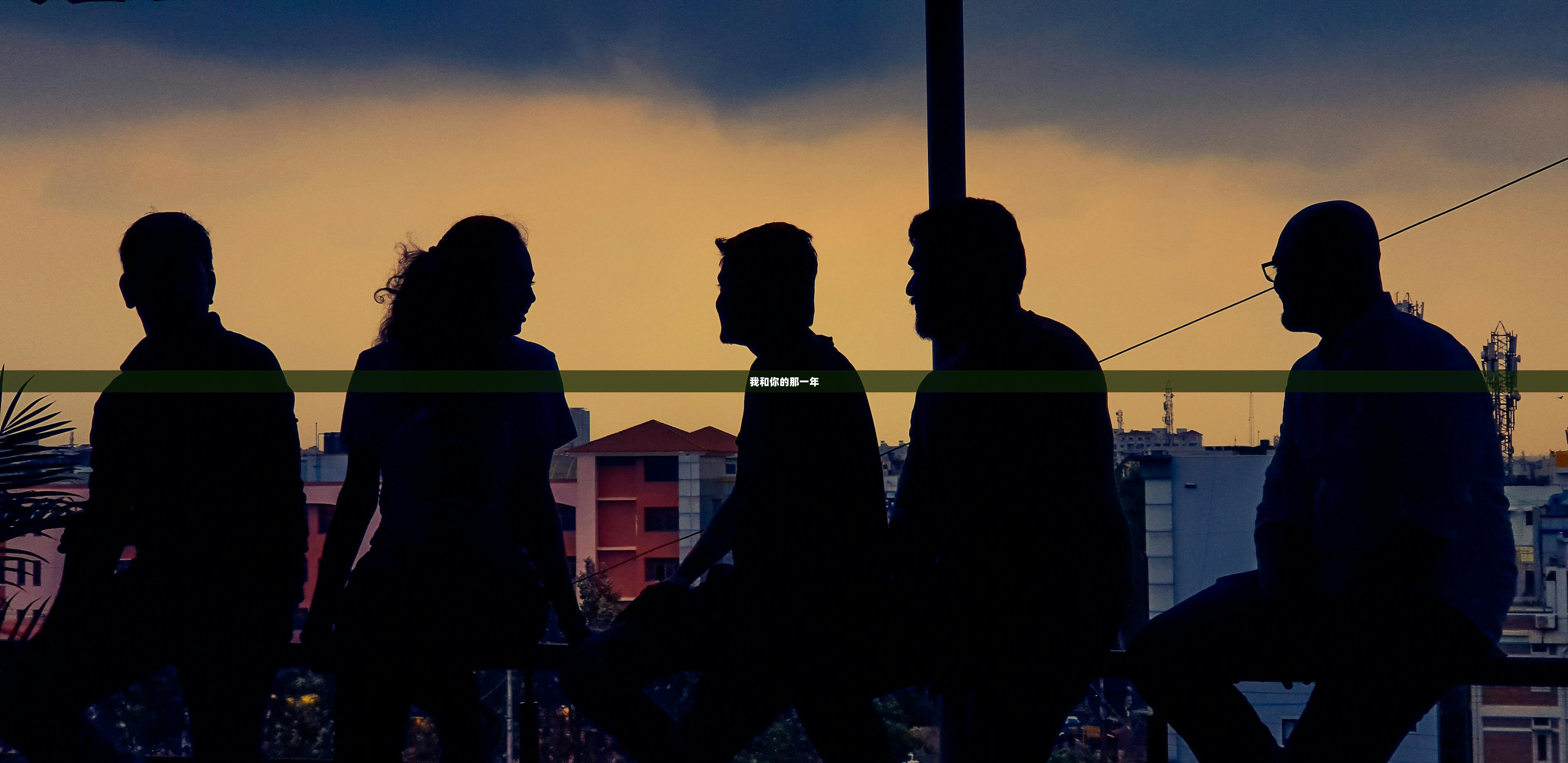 我和你的那一年
