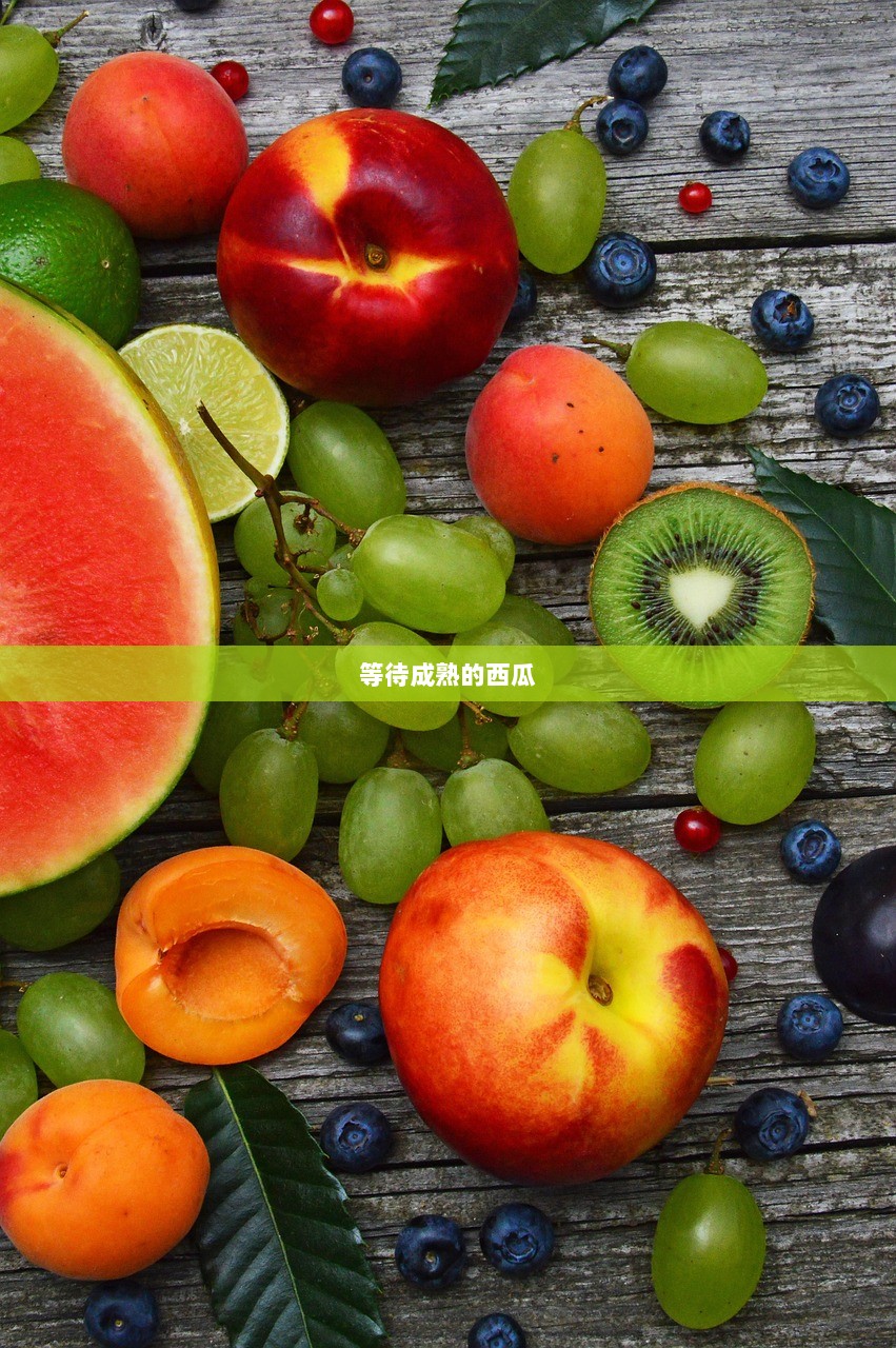 等待成熟的西瓜