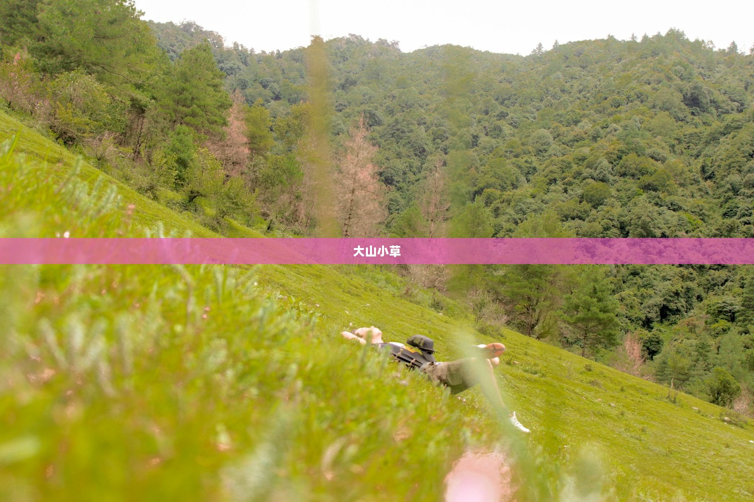大山小草