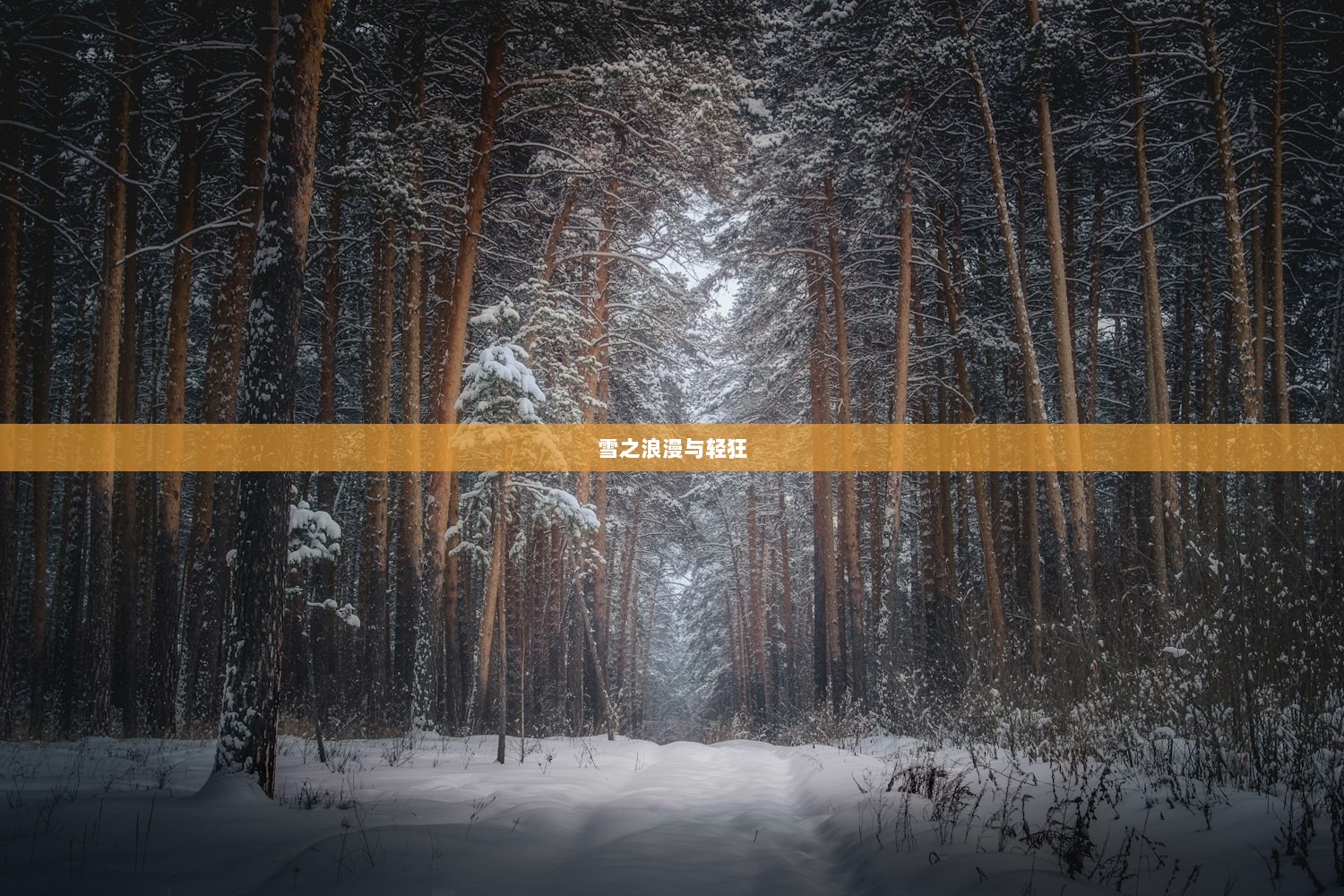 雪之浪漫与轻狂