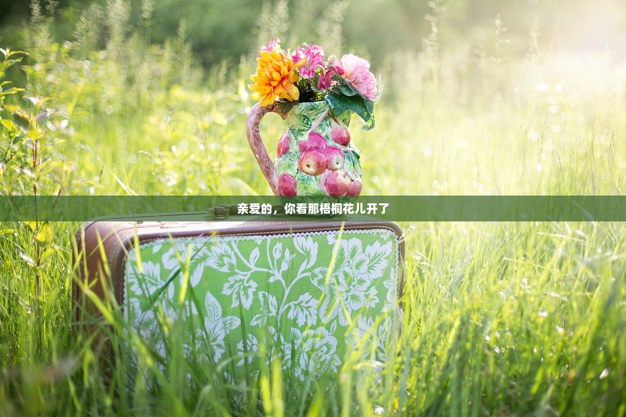 亲爱的，你看那梧桐花儿开了