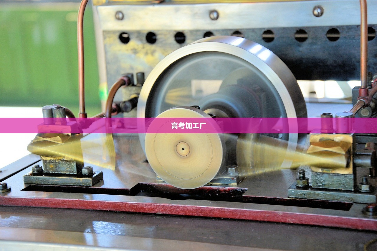 高考加工厂
