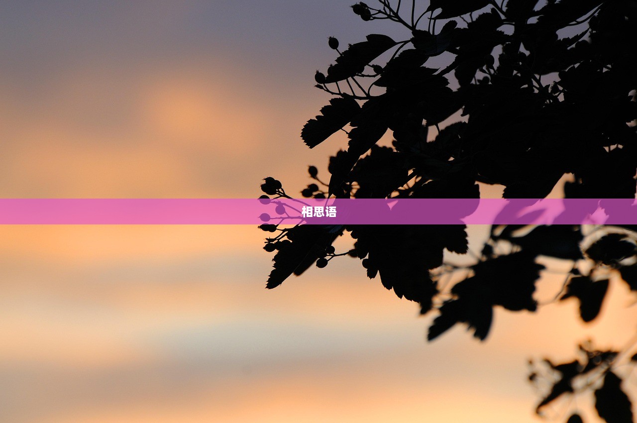 相思语