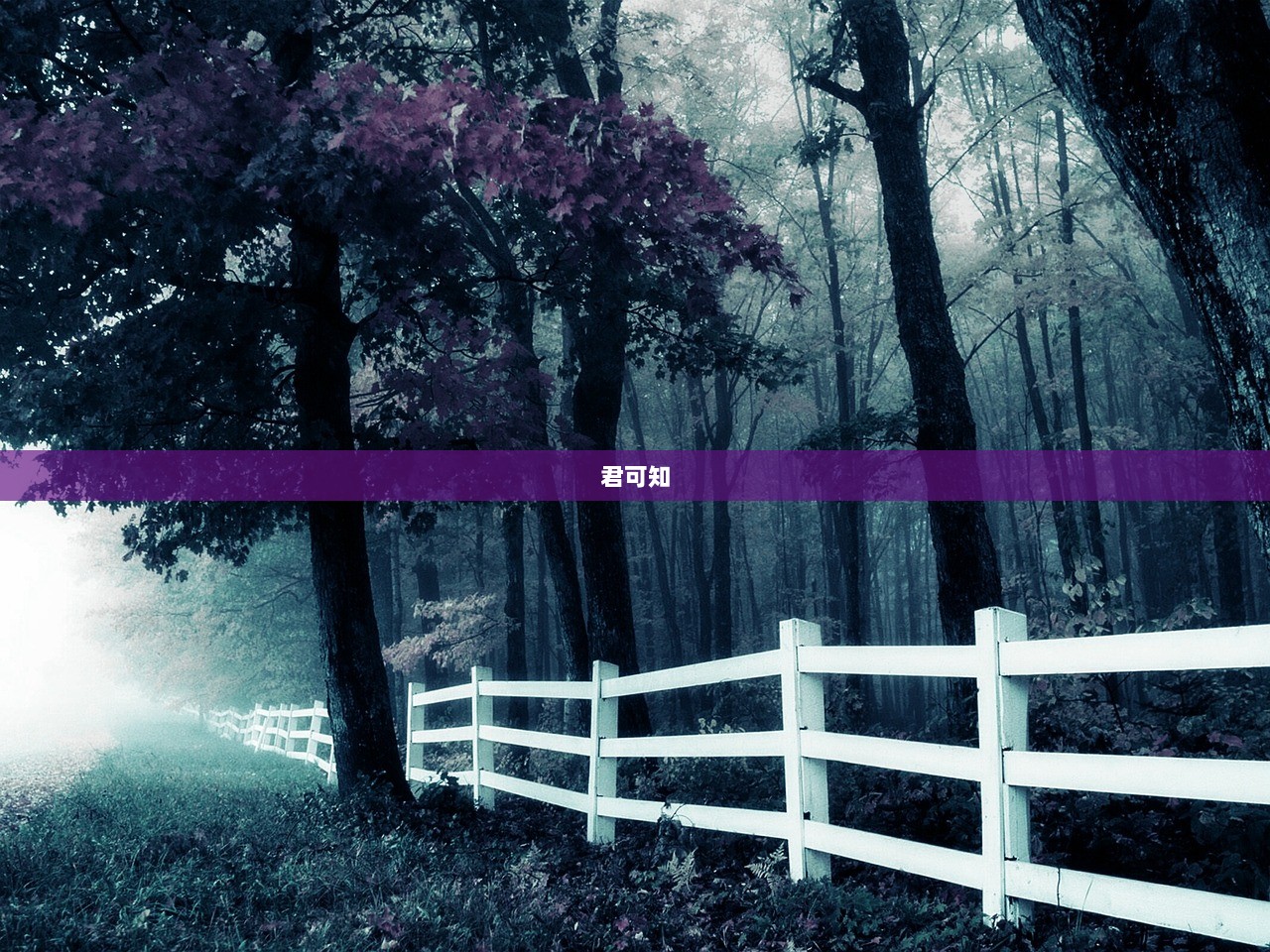 君可知