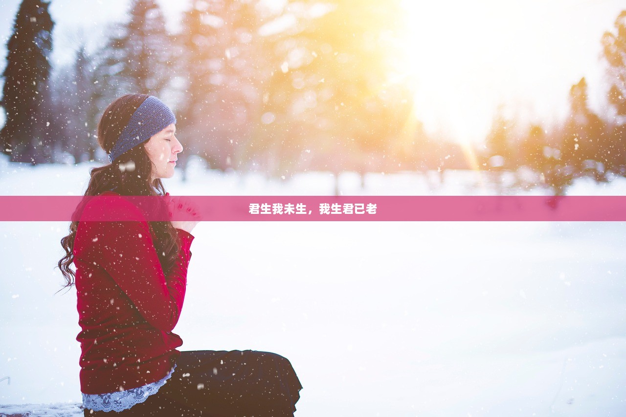 君生我未生，我生君已老