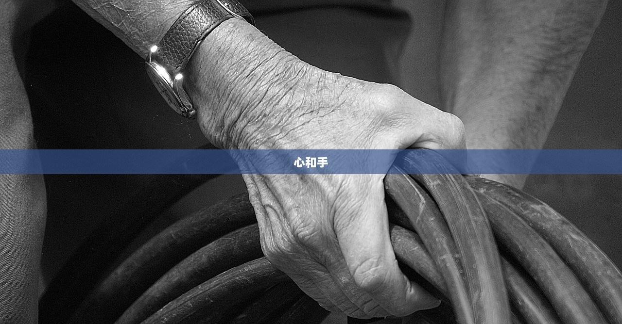 心和手