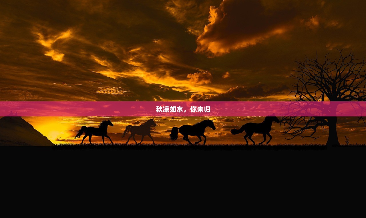 秋凉如水，你未归