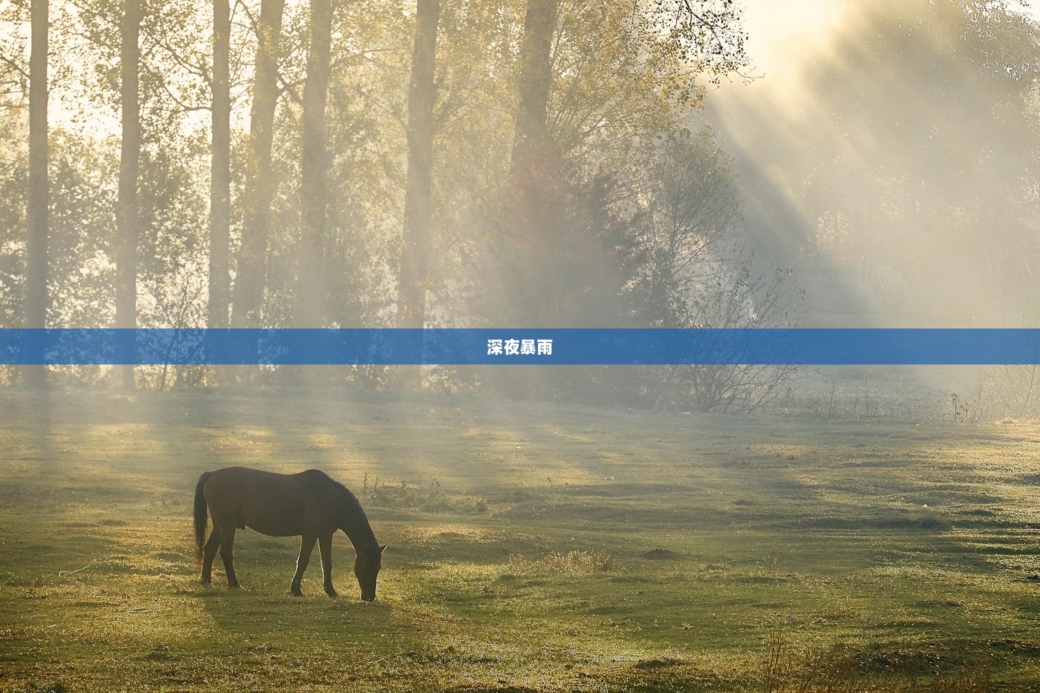 深夜暴雨  第1张