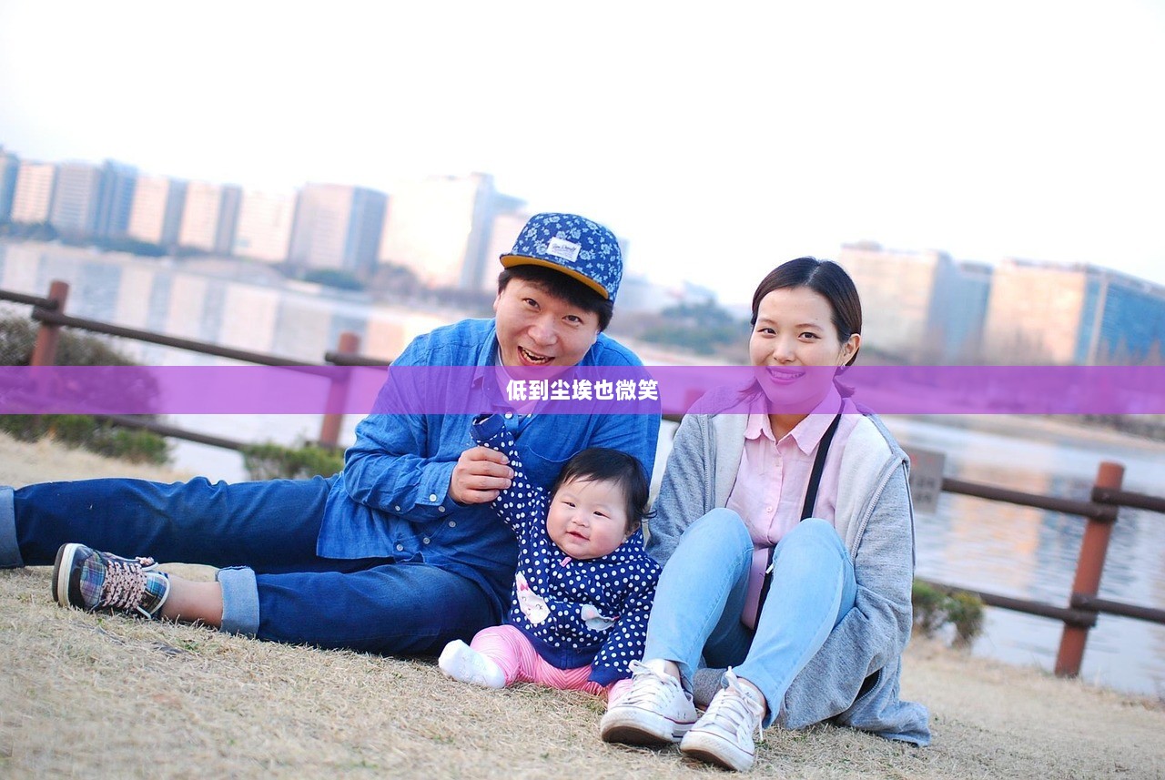 低到尘埃也微笑