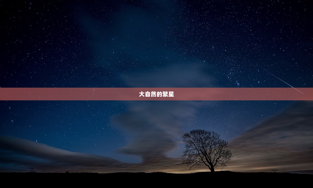 大自然的繁星