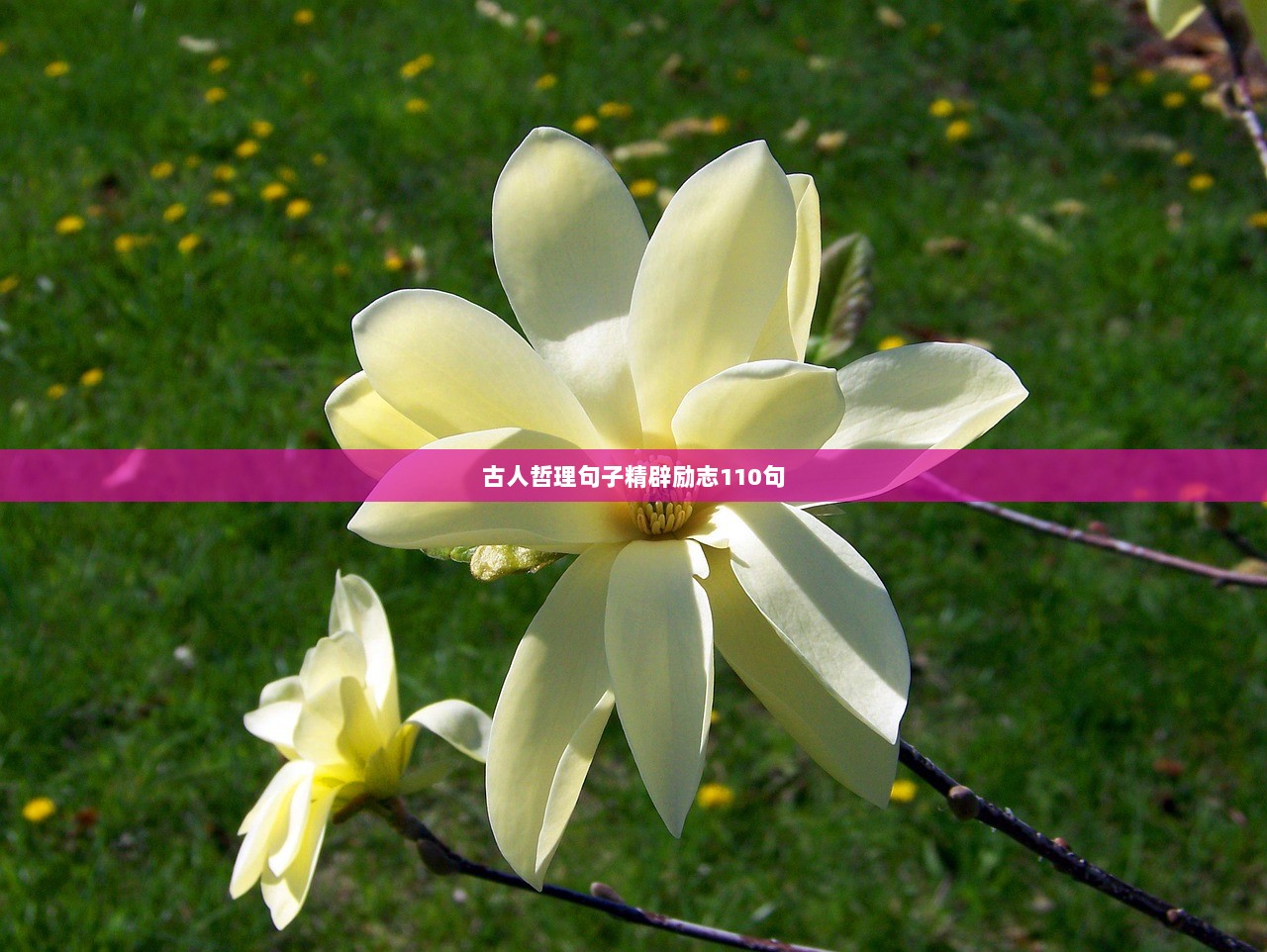 古人哲理句子精辟励志110句