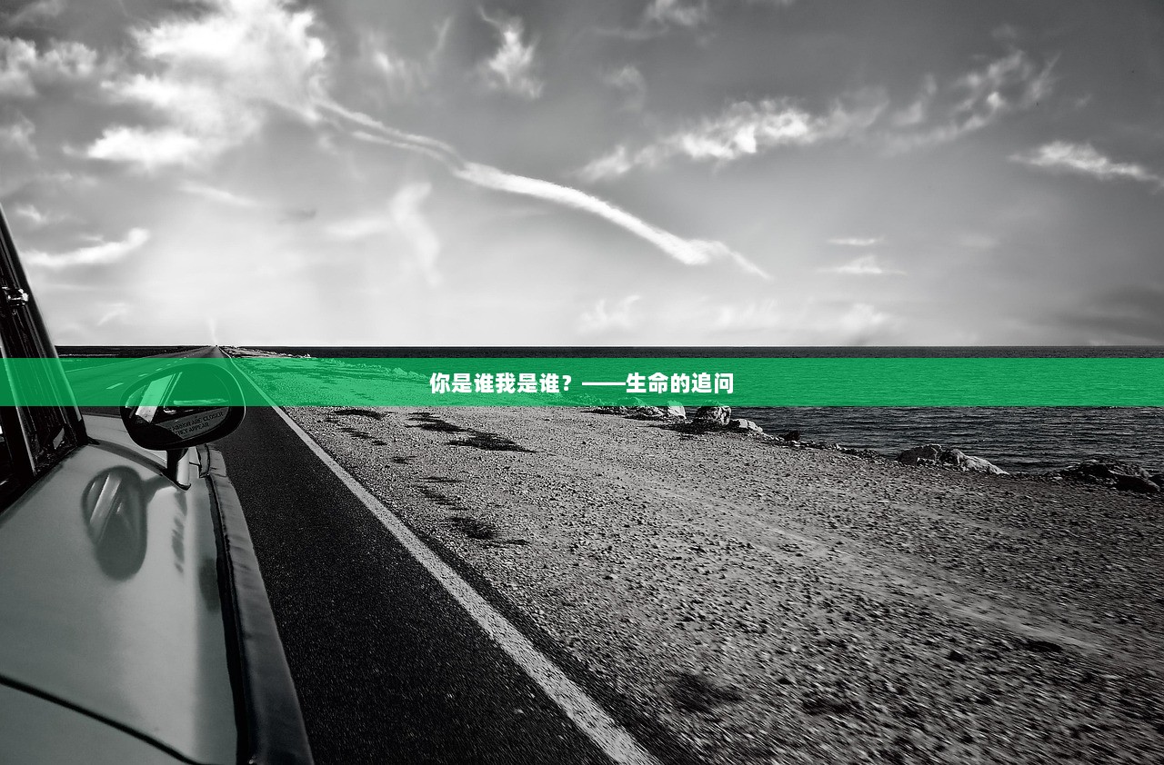 你是谁我是谁？——生命的追问