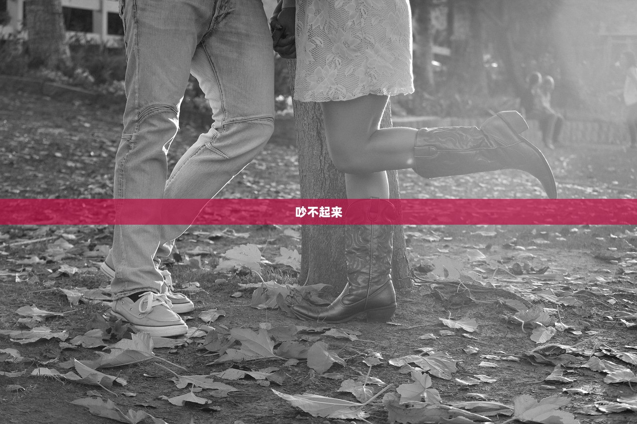 吵不起来  第1张