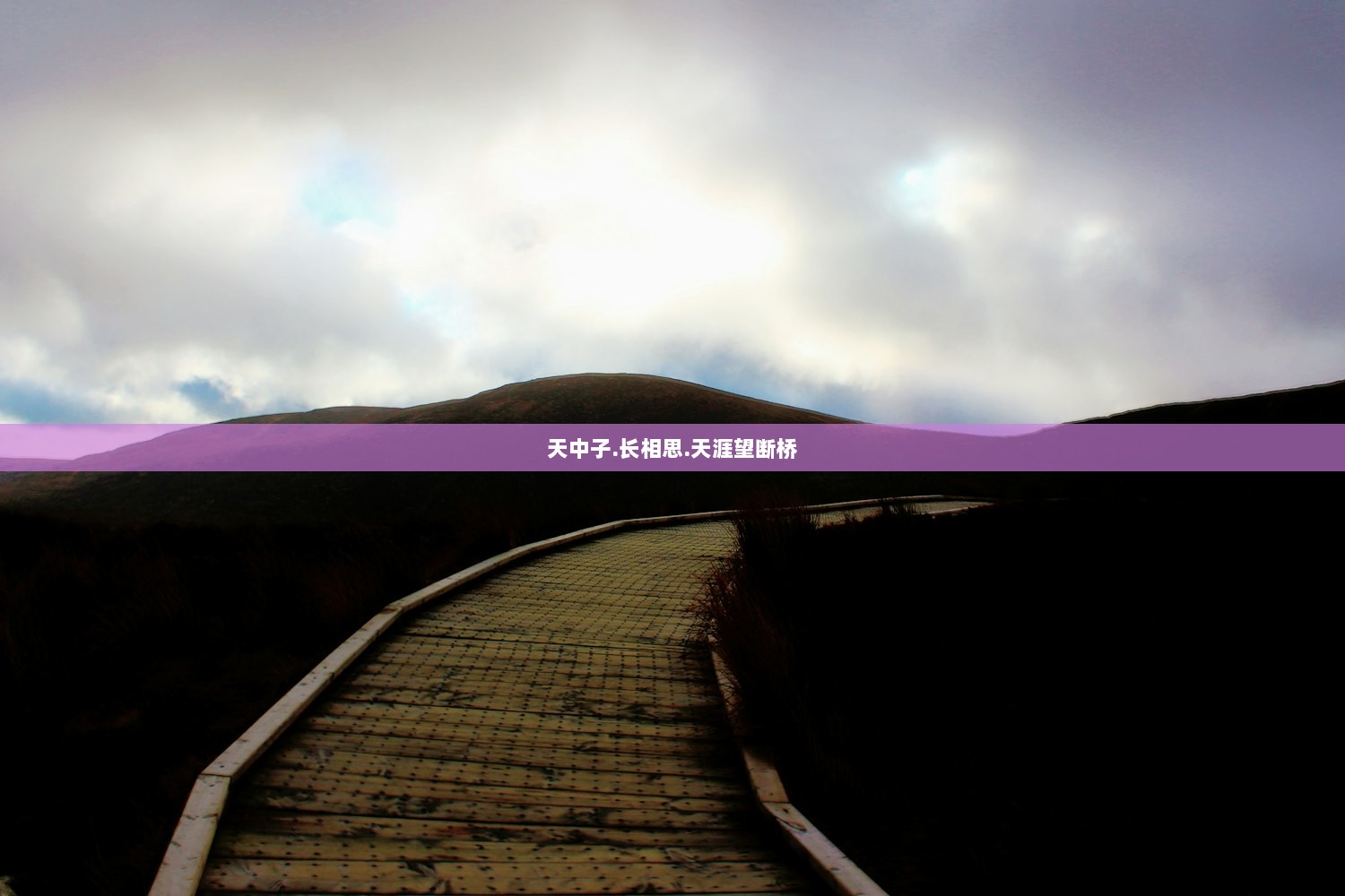 天中子.长相思.天涯望断桥
