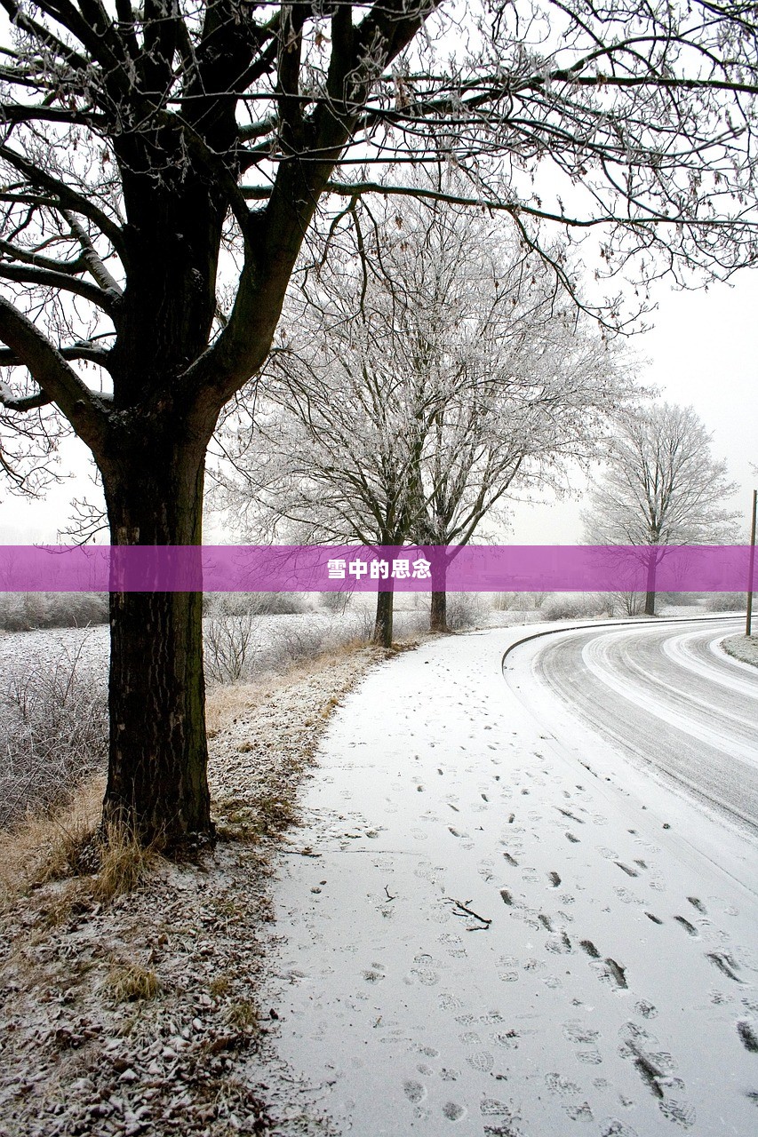 雪中的思念