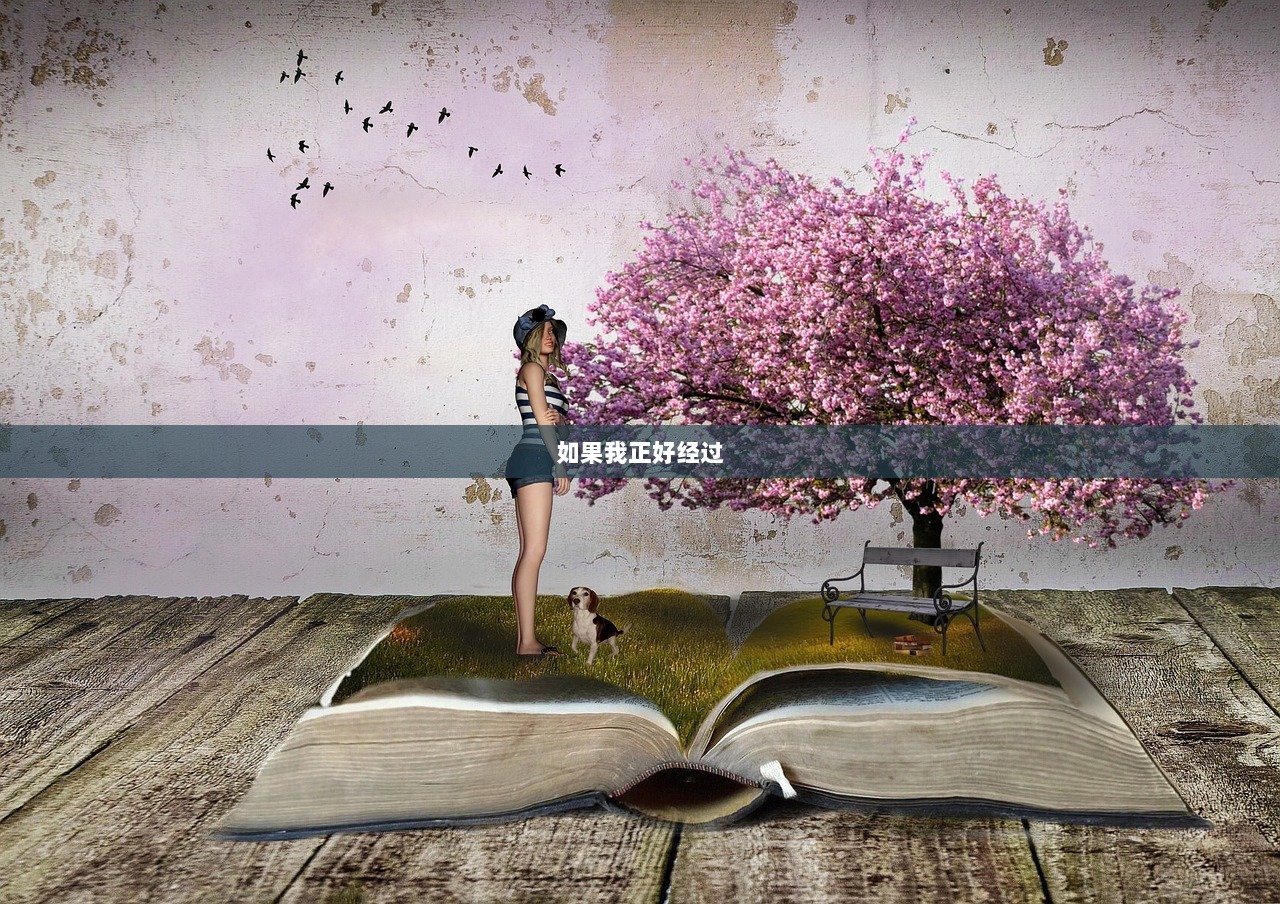 如果我正好经过  第1张