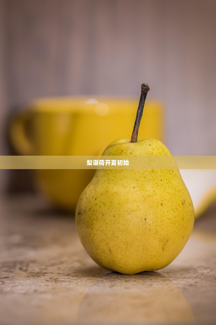 梨谢荷开夏初始