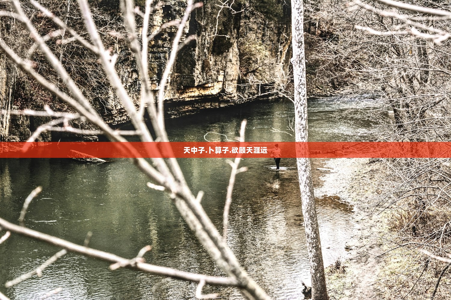 天中子.卜算子.欲顾天涯远