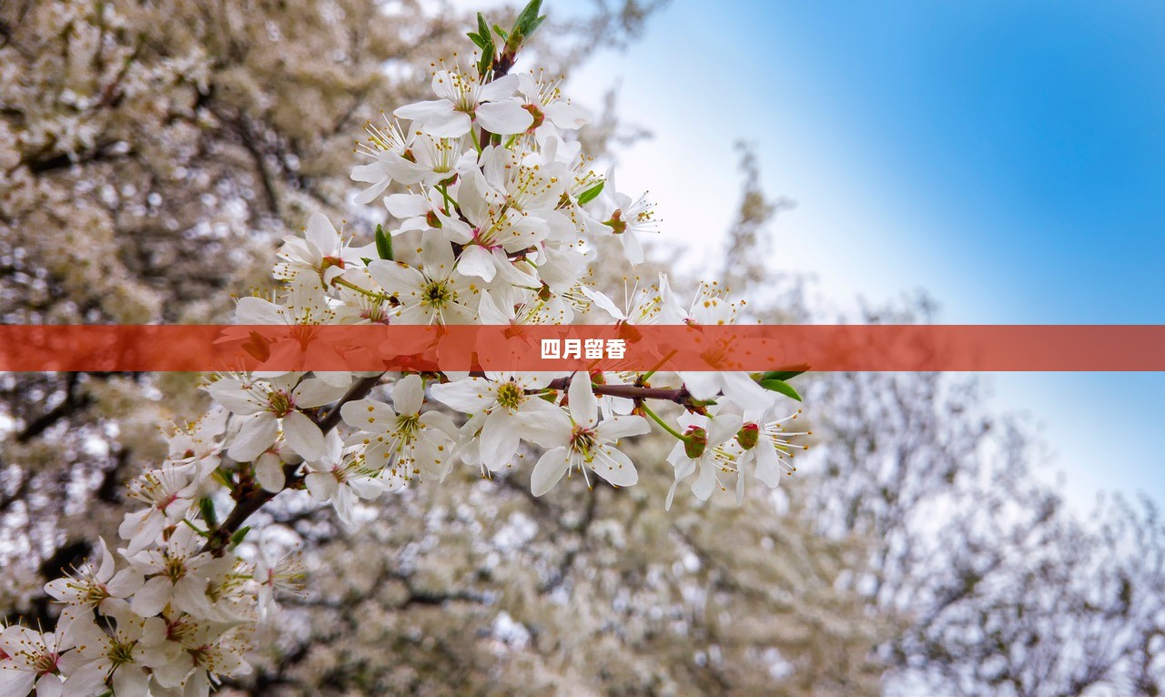 四月留香