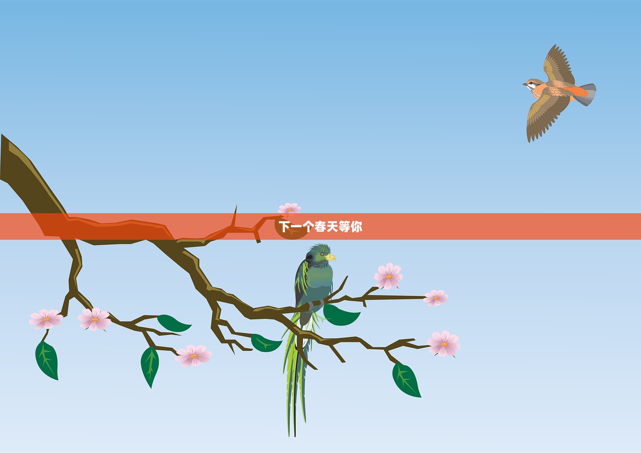下一个春天等你
