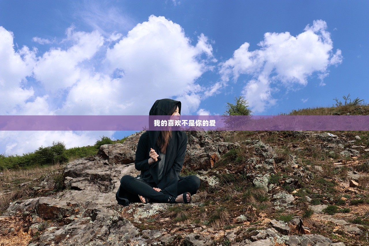 我的喜欢不是你的爱  第1张