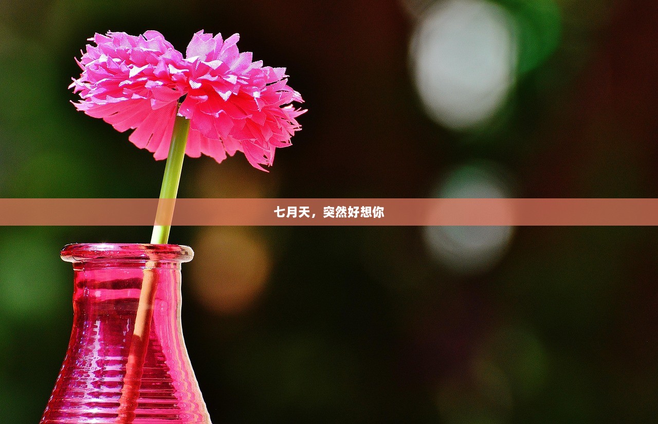七月天，突然好想你