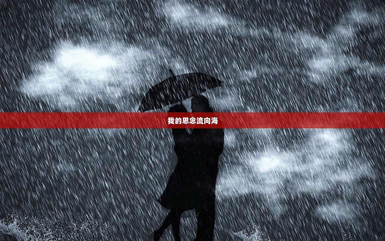 我的思念流向海