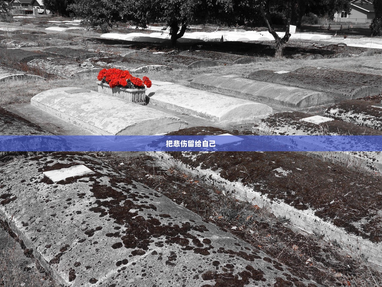 把悲伤留给自己