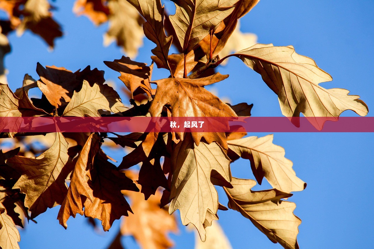 秋，起风了